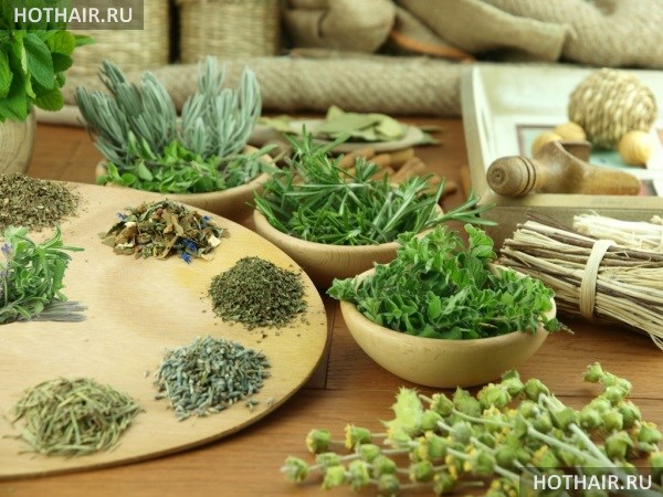 как приготовить отвар для волос?