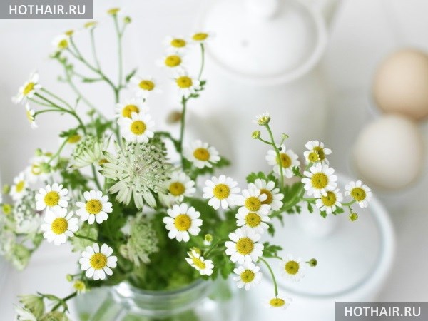 натуральное окрашивание волос в домашних условиях