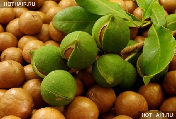 масло арганы для волос