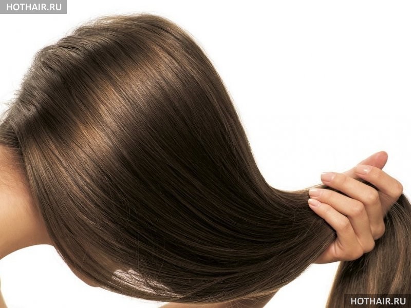 полезные свойства репейного масла репейное масло от перхоти