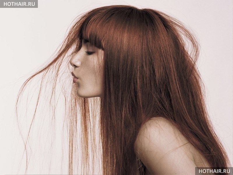 Есть ли связь между заболеваниями кишечника и выпадением волос? Могут ли выпадать волосы от проблем с кишечником?