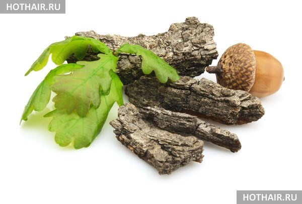 окрашивание волос корой дуба