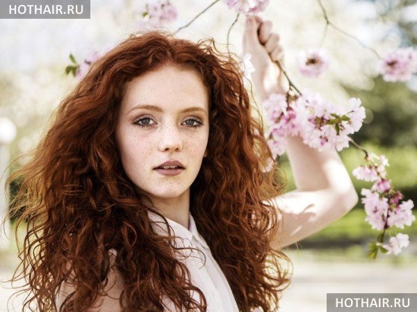 окрашивание седых волос хной и басмой