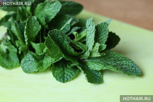 перечная мята для волос