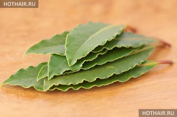 лавровый лист для волос
