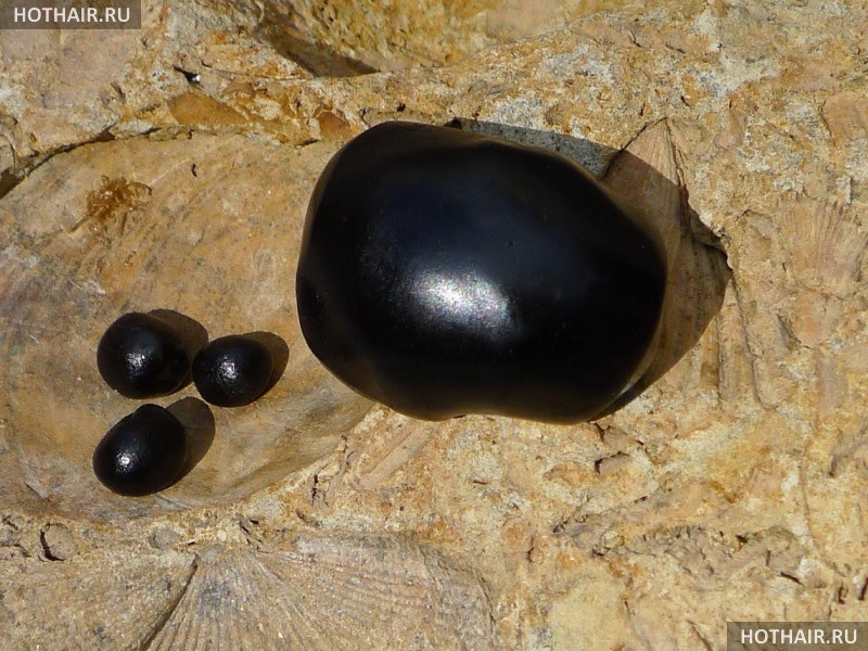 домашние рецепты с мумие мумие в шампунь