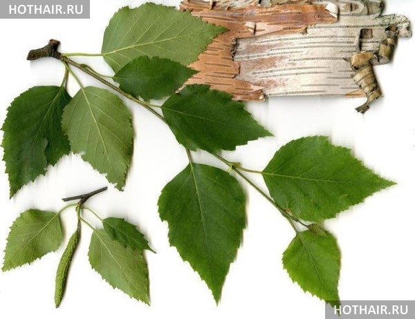 Березовый деготь для волос